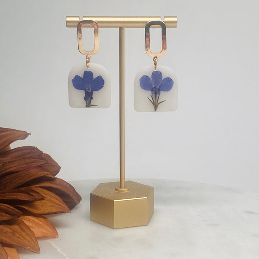 Shay Blue Lobilia